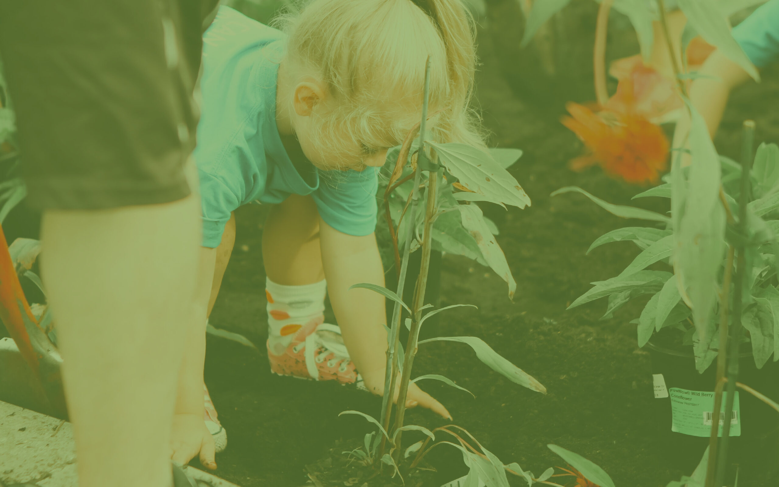 girl planting in garden for blog banner